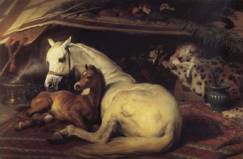 The Arab Tent, Sir Edwin Landseer